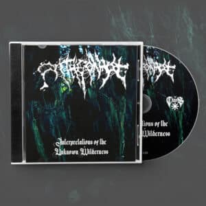 ANTAGONYZE - Interpretations of the Unknown Wilderness CD